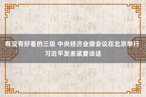 有没有好看的三级 中央经济业绩会议在北京举行 习近平发表紧要谈话