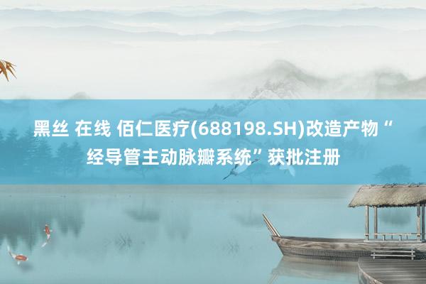 黑丝 在线 佰仁医疗(688198.SH)改造产物“经导管主动脉瓣系统”获批注册