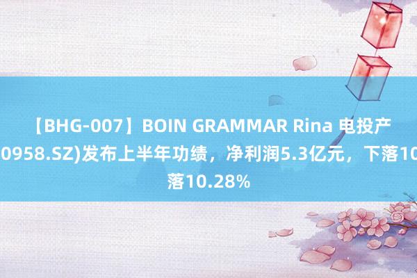 【BHG-007】BOIN GRAMMAR Rina 电投产融(000958.SZ)发布上半年功绩，净利润5.3亿元，下落10.28%