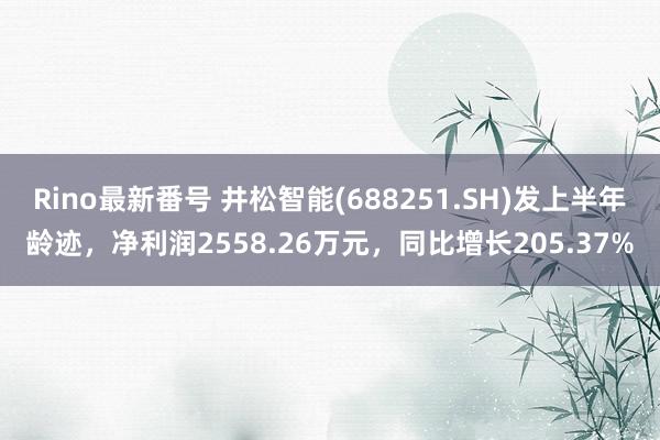 Rino最新番号 井松智能(688251.SH)发上半年龄迹，净利润2558.26万元，同比增长205.37%