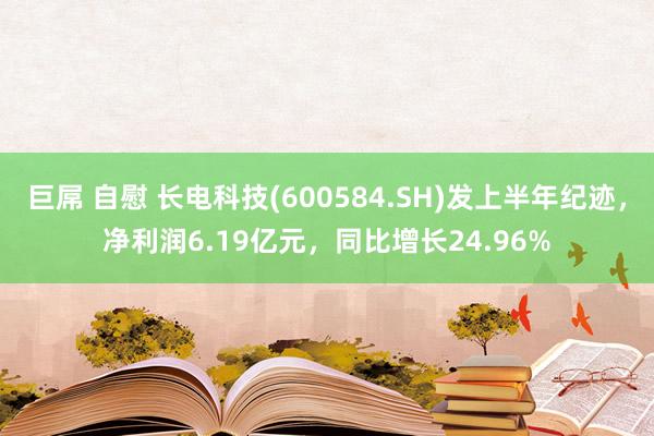 巨屌 自慰 长电科技(600584.SH)发上半年纪迹，净利润6.19亿元，同比增长24.96%