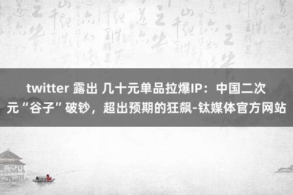 twitter 露出 几十元单品拉爆IP：中国二次元“谷子”破钞，超出预期的狂飙-钛媒体官方网站