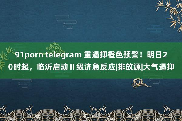 91porn telegram 重遏抑橙色预警！明日20时起，临沂启动Ⅱ级济急反应|排放源|大气遏抑