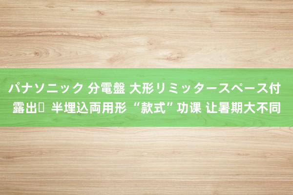 パナソニック 分電盤 大形リミッタースペース付 露出・半埋込両用形 “款式”功课 让暑期大不同