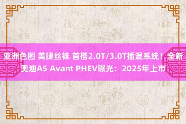 亚洲色图 美腿丝袜 首搭2.0T/3.0T插混系统！全新奥迪A5 Avant PHEV曝光：2025年上市