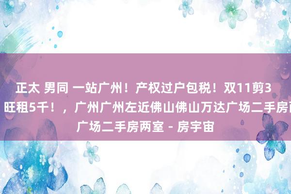 正太 男同 一站广州！产权过户包税！双11剪3 送家私家电）旺租5千！，广州广州左近佛山佛山万达广场二手房两室 - 房宇宙