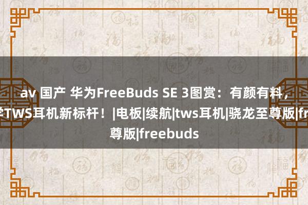 av 国产 华为FreeBuds SE 3图赏：有颜有料，打造初学TWS耳机新标杆！|电板|续航|tws耳机|骁龙至尊版|freebuds