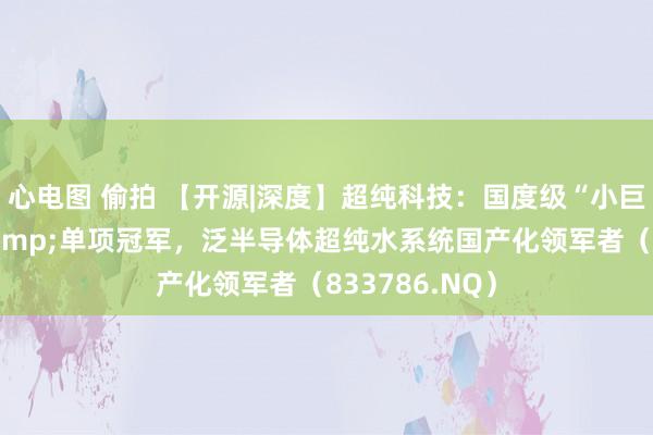 心电图 偷拍 【开源|深度】超纯科技：国度级“小巨东说念主”&单项冠军，泛半导体超纯水系统国产化领军者（833786.NQ）