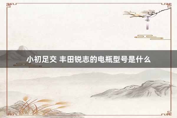 小初足交 丰田锐志的电瓶型号是什么